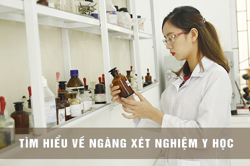 nganh xet nghiem y hoc