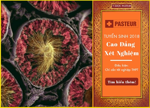 Địa chỉ tuyển sinh Cao đẳng Xét nghiệm năm 2018