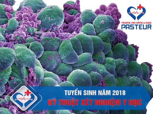 Tuyển sinh Cao đẳng Kỹ thuật xét nghiệm năm 2018