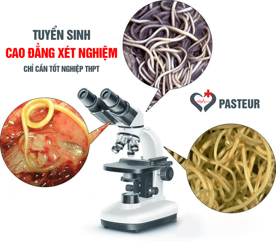 Ngành Xét nghiệm tiềm năng phát triển lớn trong tương lai