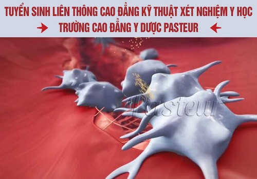 Cập nhật thông tin tuyển sinh Liên thông Cao đẳng Xét nghiệm học cuối tuần