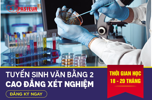 Hồ sơ học Văn bằng 2 Cao đẳng Xét nghiệm Hà Nội gồm giấy tờ gì?