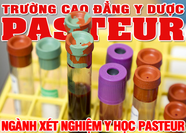 Môi trường làm việc và công việc của Kỹ thuật viên Xét nghiệm