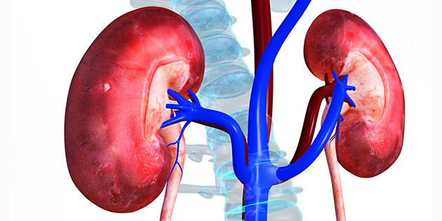 Kỹ thuật xét nghiệm kiểm tra chức năng thận