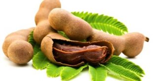 Tác dụng của me
