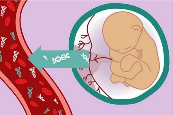 Xét nghiệm dị tật bẩm sinh và thời điểm xét nghiệm cho kết quả chính xác