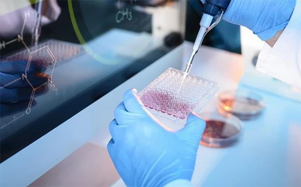 Xét nghiệm tế bào gốc mang lại nhiều lợi ích và tiềm năng trong lĩnh vực y học và nghiên cứu khoa học